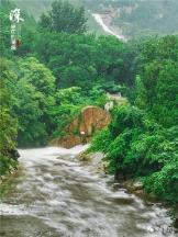 马斯克:永远不要在特拉华州注册公司